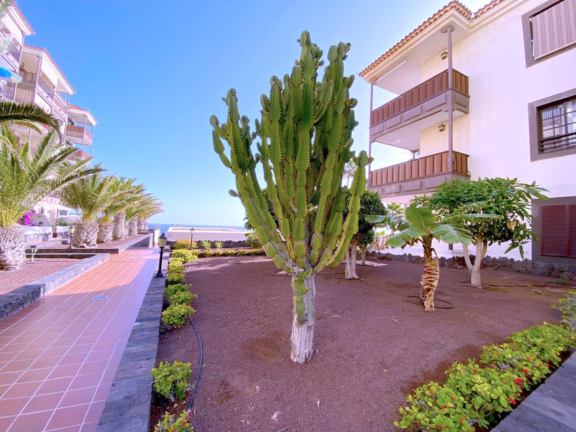 Tropicalidays Costa Mar Costa Del Silencio Exterior foto